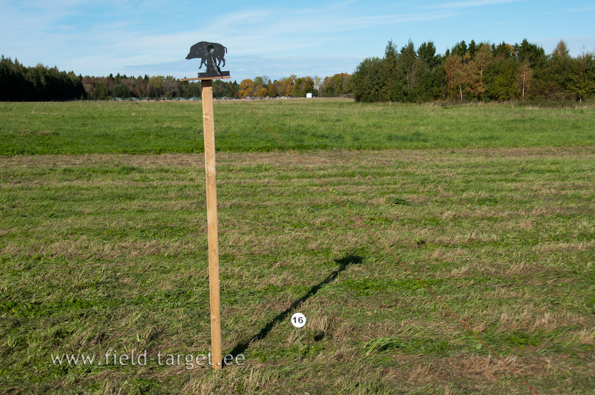 Why is Pig on End of the Wood?